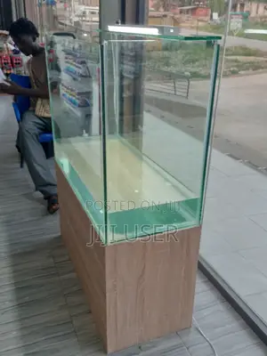 Aquarium and Catfish Display Tanks