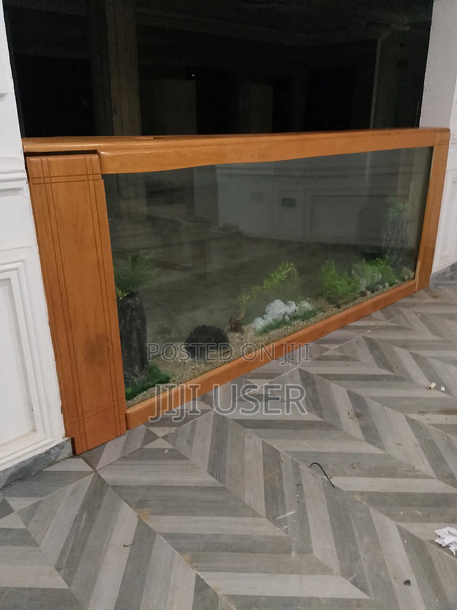 Aquarium and Catfish Display Tanks