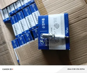 Spark Plugs