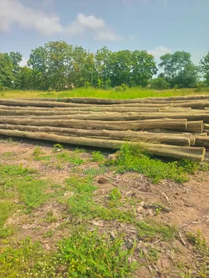 Electric Poles