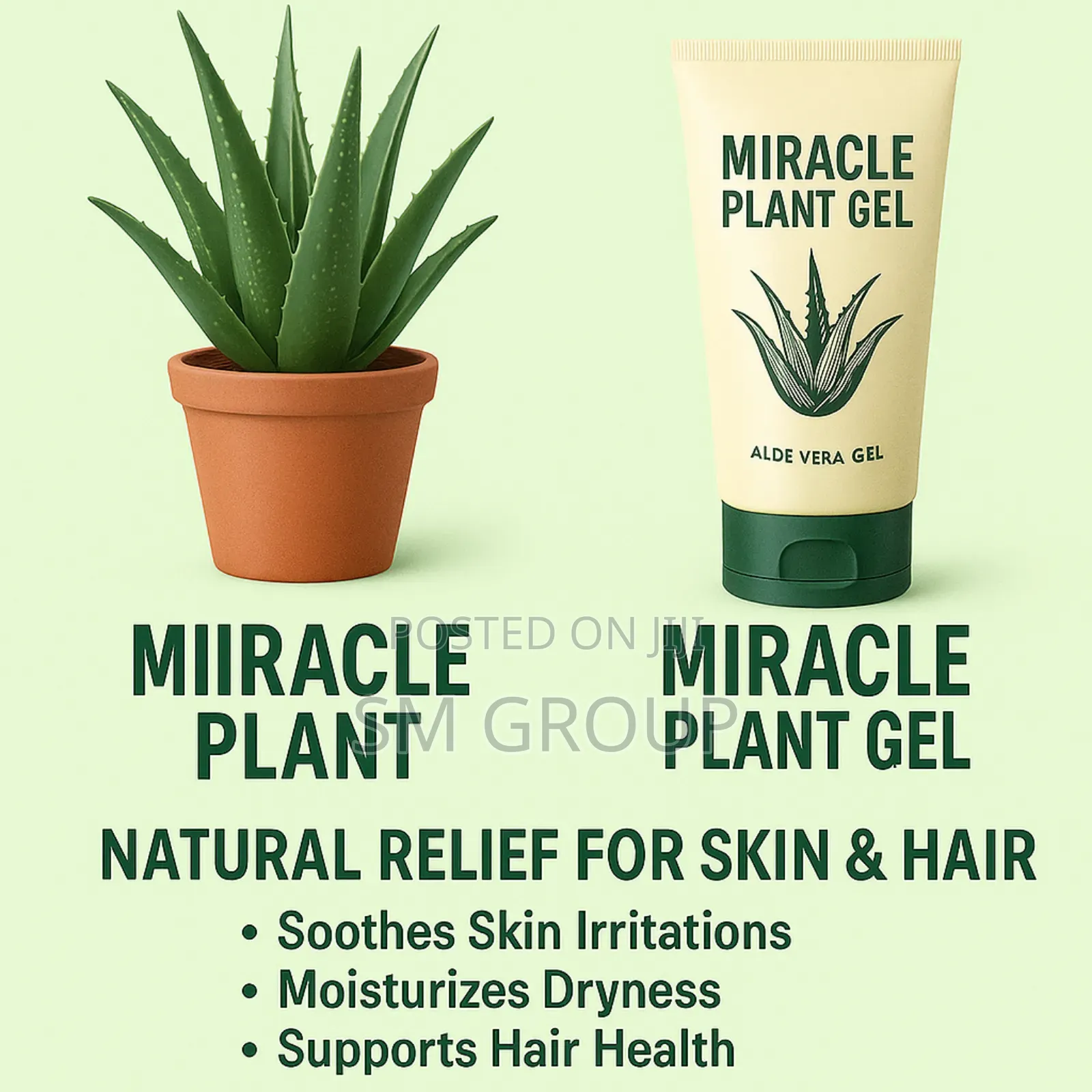 Miracle Aloe Plant