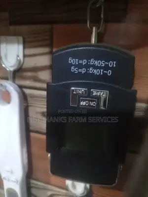 50kg Scale In Stock