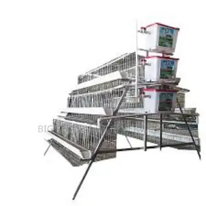 A Shape Battery Cages,160 Capacity