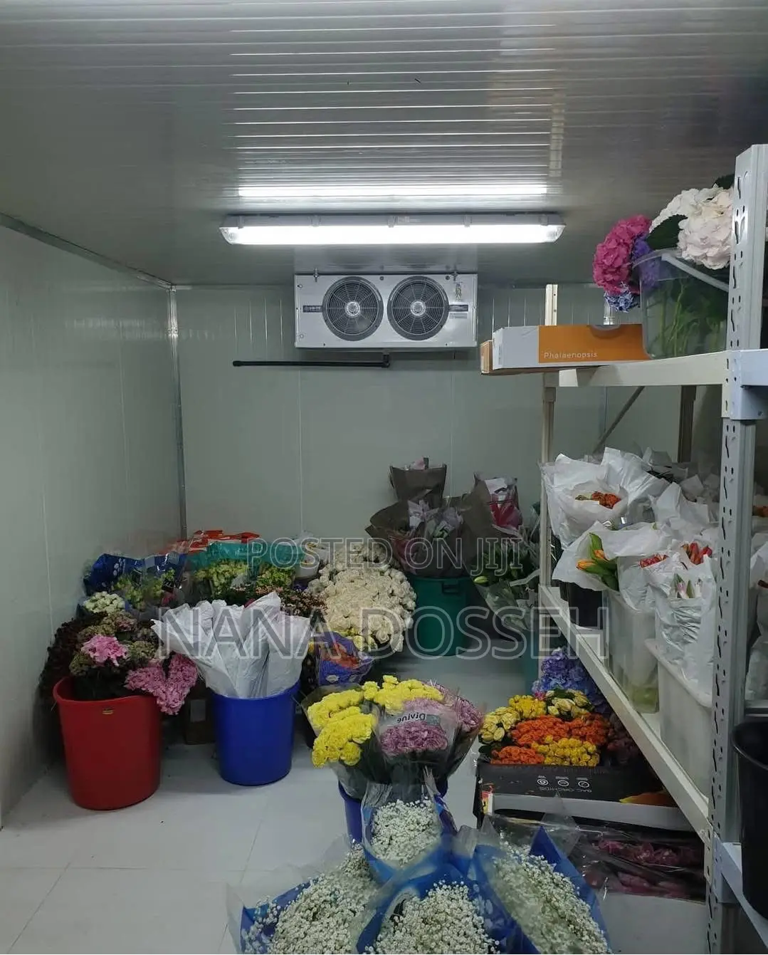 Dm Me for Your Flowers Cold Room Temperature and More