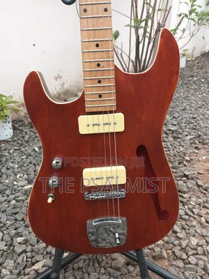 Customized Semi Hollowbody Guitar(Professional Left-Hand Guitar).