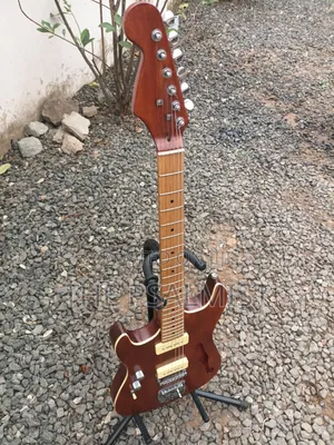 Customized Semi Hollowbody Guitar(Professional Left-Hand Guitar).