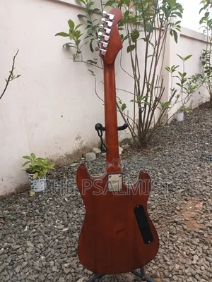 Customized Semi Hollowbody Guitar(Professional Left-Hand Guitar).