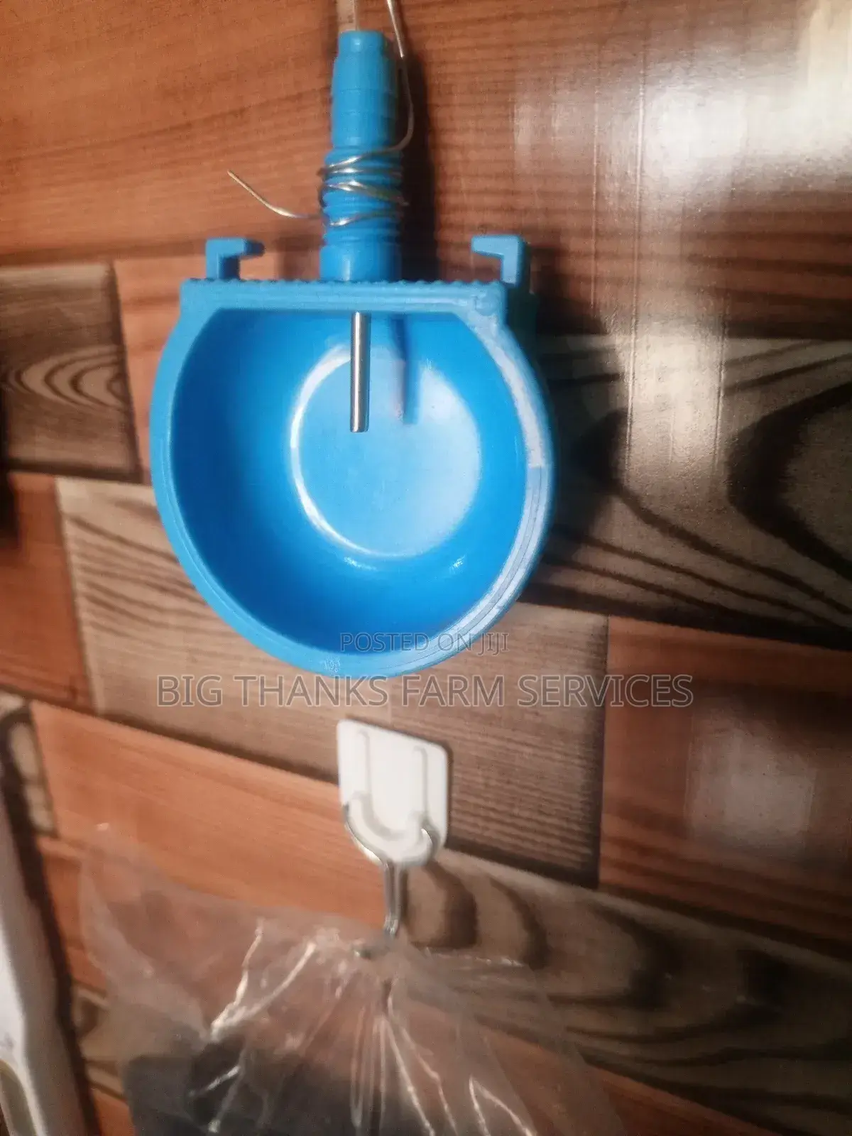Rabbit Nipple Cups