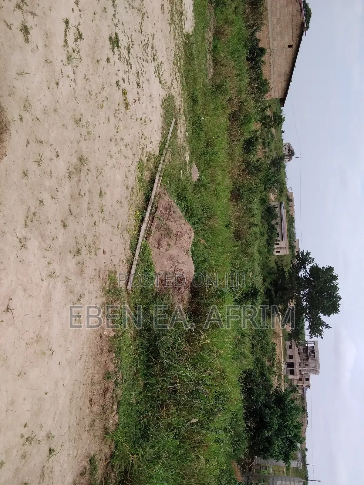 Half Plot of Land