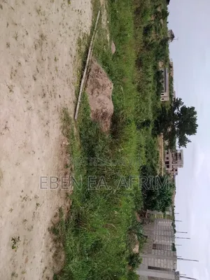 Half Plot of Land