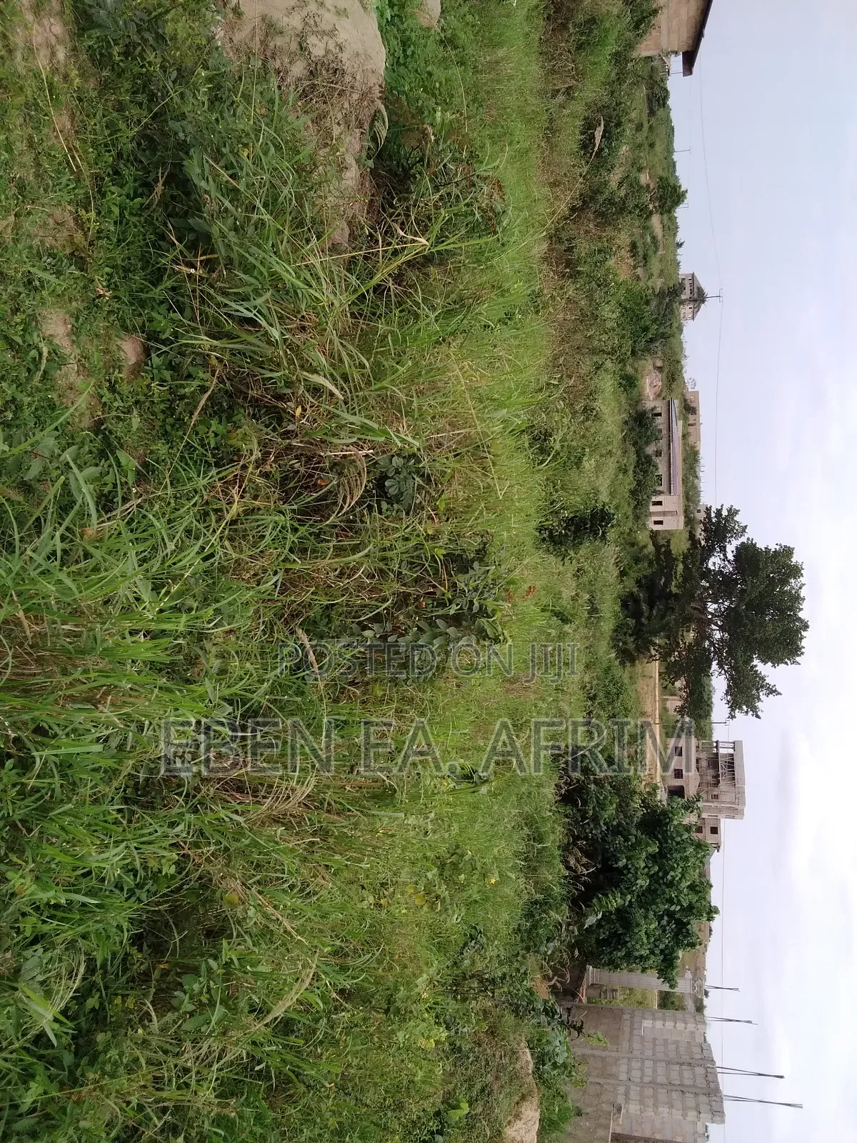 Half Plot of Land