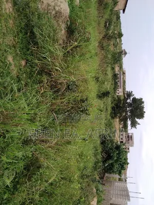 Half Plot of Land