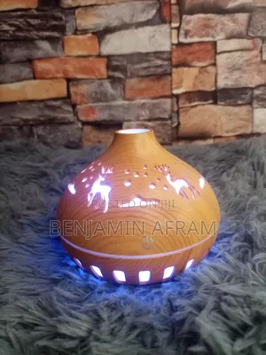 Essential Echo Humidifier