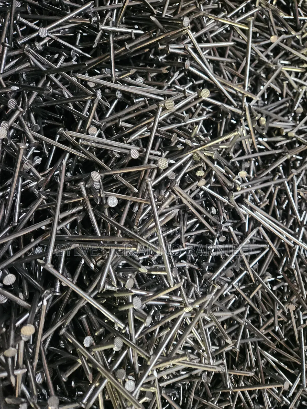 Quality Polished Common Nails