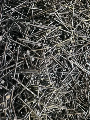 Quality Polished Common Nails