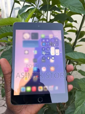 Apple iPad mini 5 64 GB Gray
