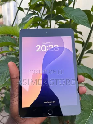 Apple iPad mini 5 64 GB Gray