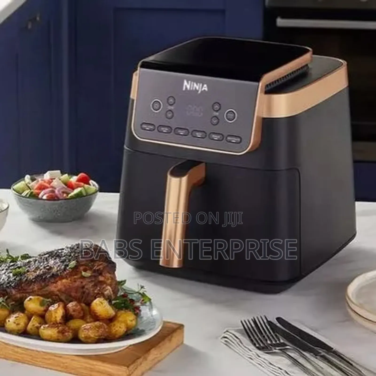 Ninja Air Fryer Max Pro Af180ukcp