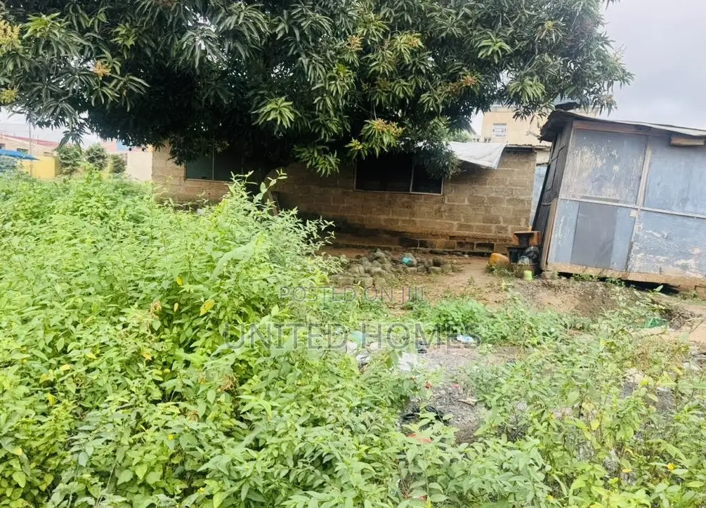 Mallam Warehouse on 4 Plot for Sale