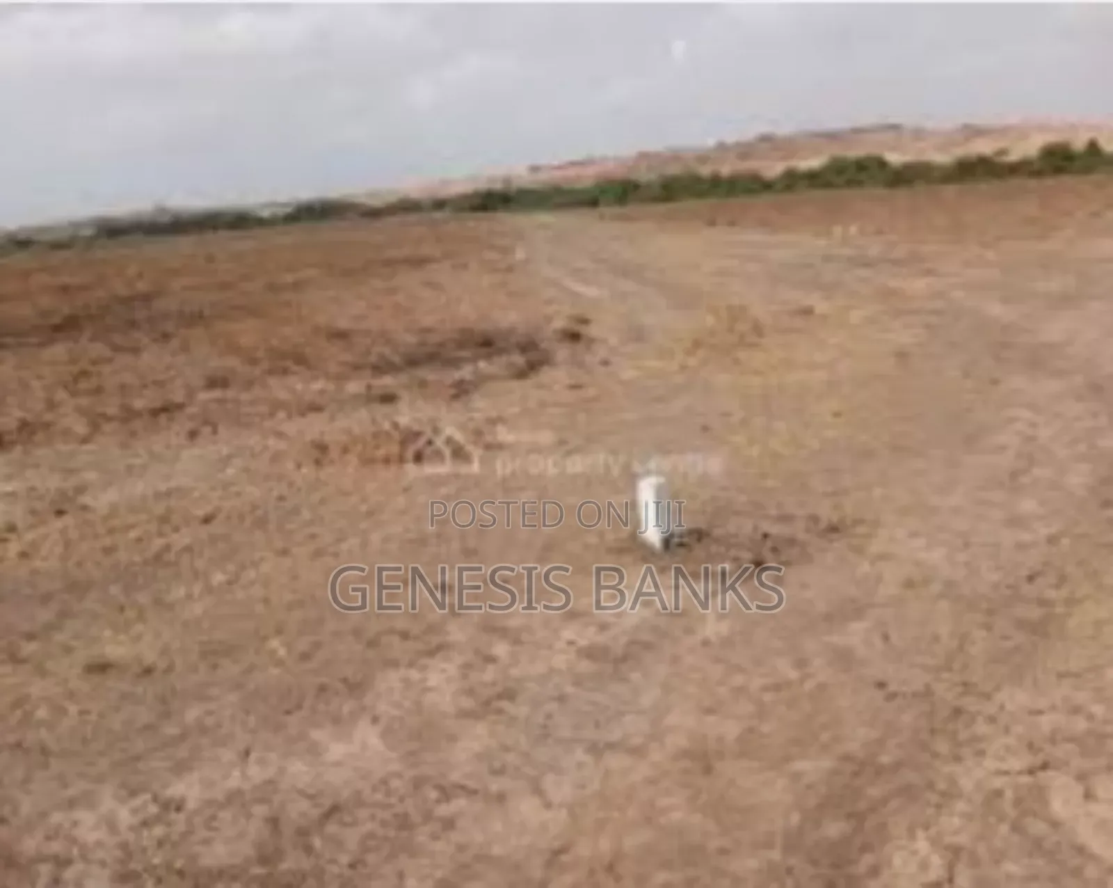 Litigation Free Land Available at Dawa