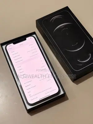 Apple iPhone 12 Pro Max 128 GB Gray