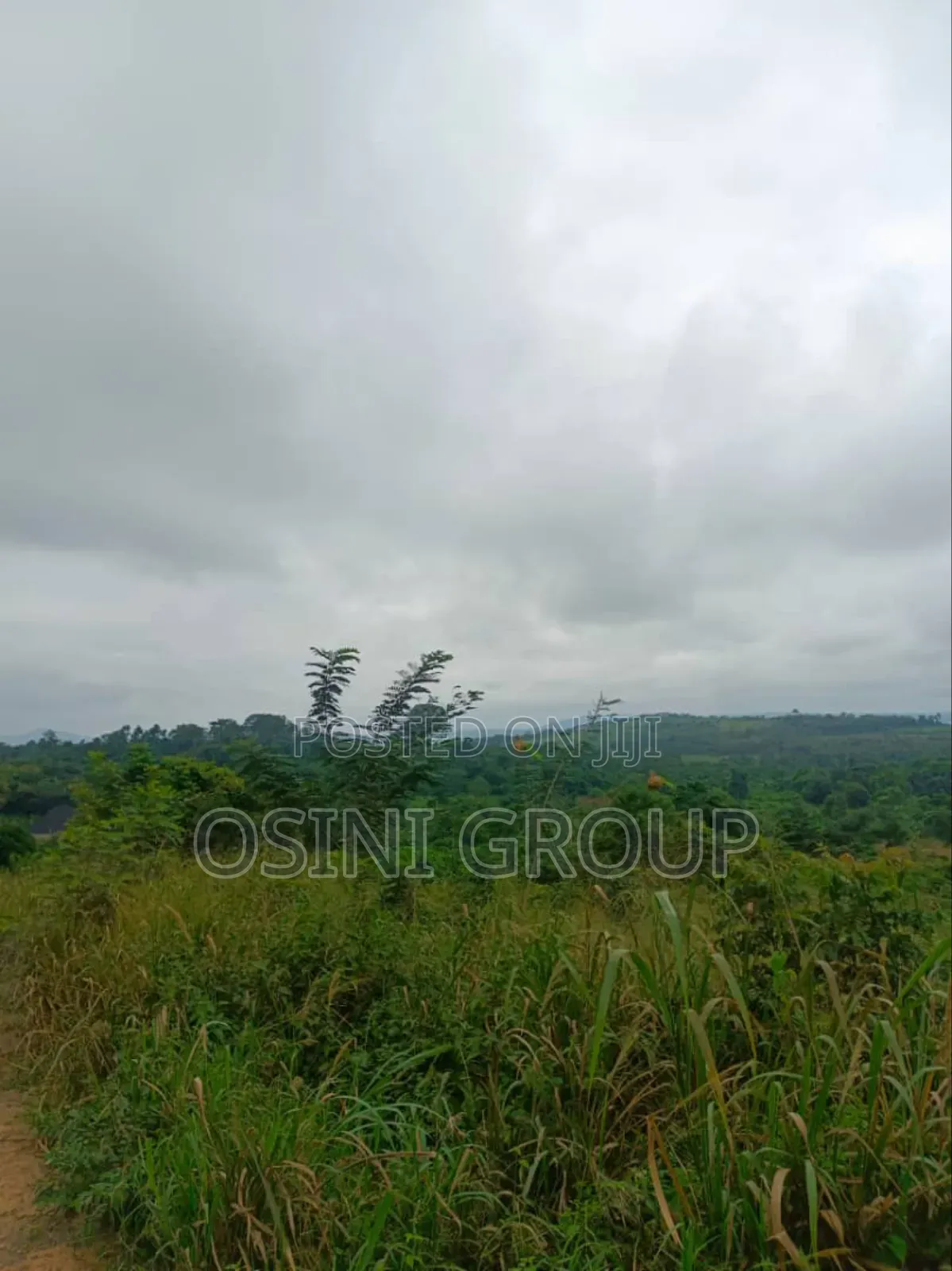 Land for Sale at Aburi