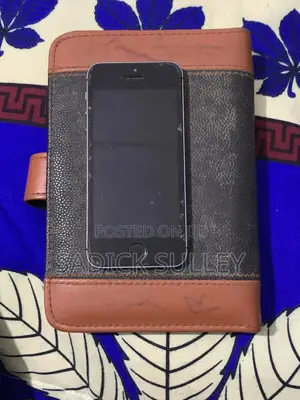 Apple iPhone 5s 16 GB Gray