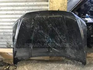 Ford F-150 2018-2019-2020-2021 Bonnet