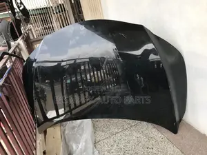 Lexus Rx350/ Rx 350 2018-2019-2020-2021-2022 Bonnet
