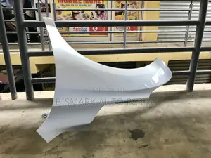 Acura RDX 2019-2020-2021 Fender Aspec