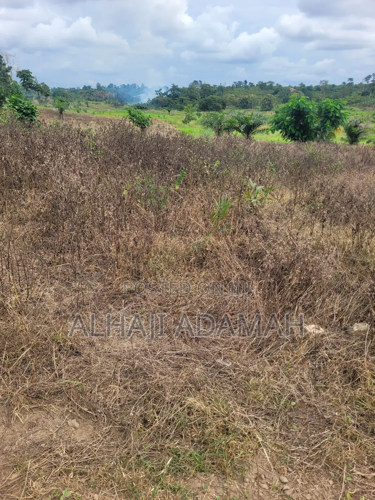 Lands for Sale at Trede Sepeasae New Site