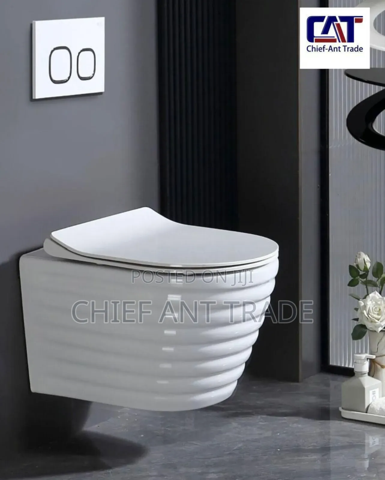 Concealed Toilet Seat Wc. Wall Wc