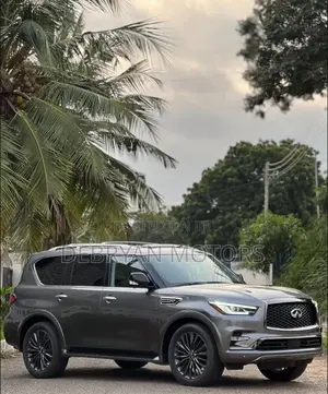 Infiniti QX80 2019 Gray