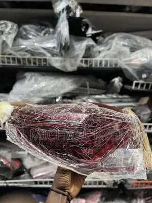 Hyundai Elantra 2019 - 2020 Tail Light