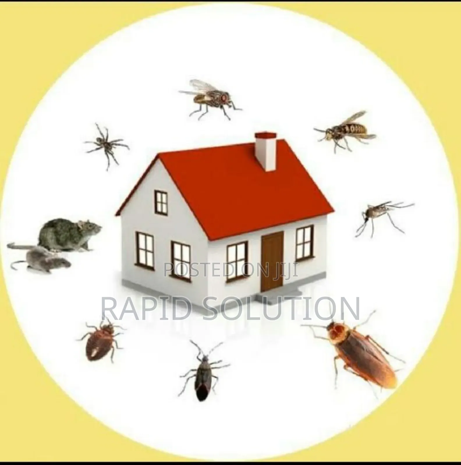 Dominators Pest Expert