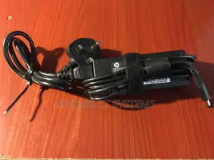 Original Hp Big Pin Charger