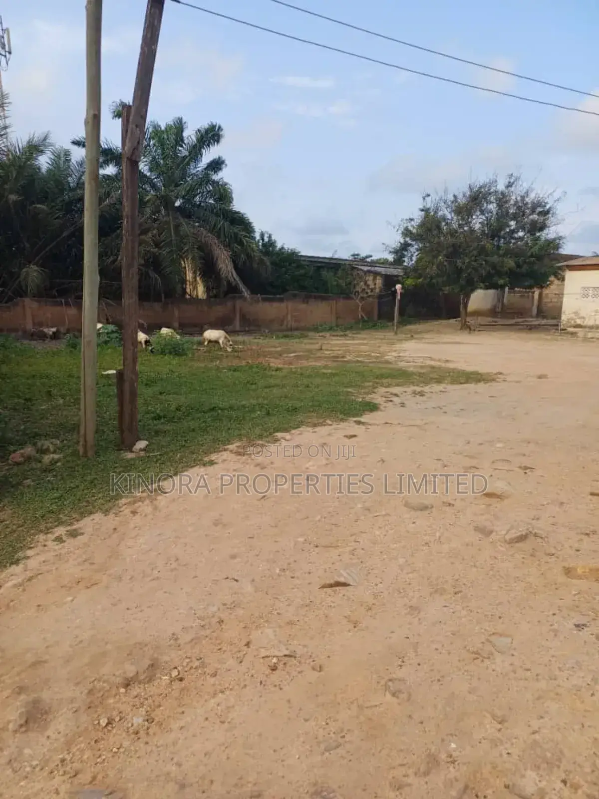 Titled Land For Sale At Hatso Cosway