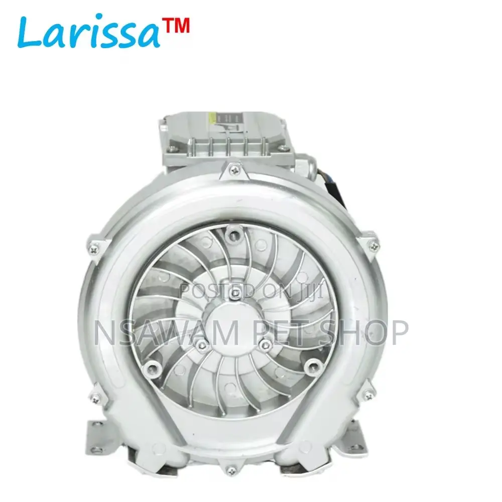 Vortex Air Blower