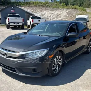 Car Rentals