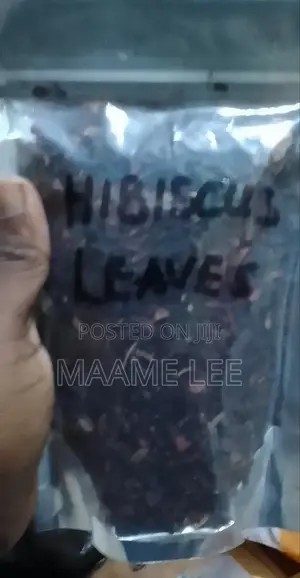 Hibiscus Leaves (Small Leaves)
