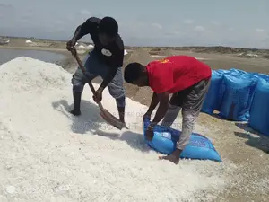 Quality Ada Salt for Sale at Wholesale Prices. 46.50kg