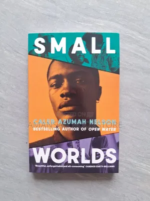 Small Worlds
