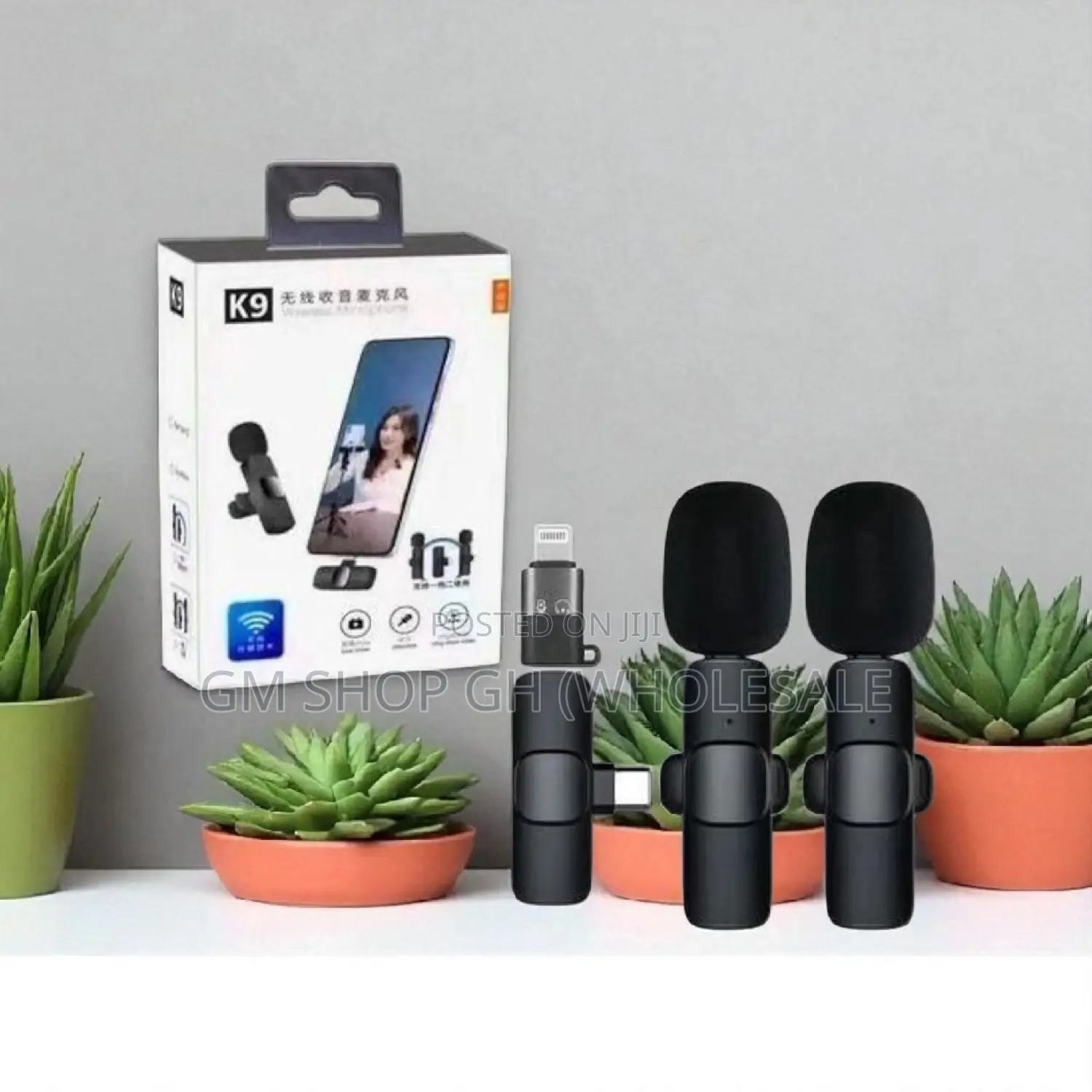 Wireless Microphone 2 in 1 Microphone (25446)