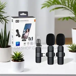 Long Battery Life 2 in 1 Wireless Microphone (35544)