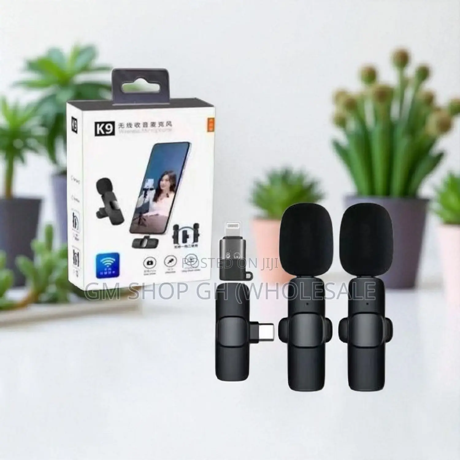 Wireless - 2 in 1 Wireless Microphone (17488)