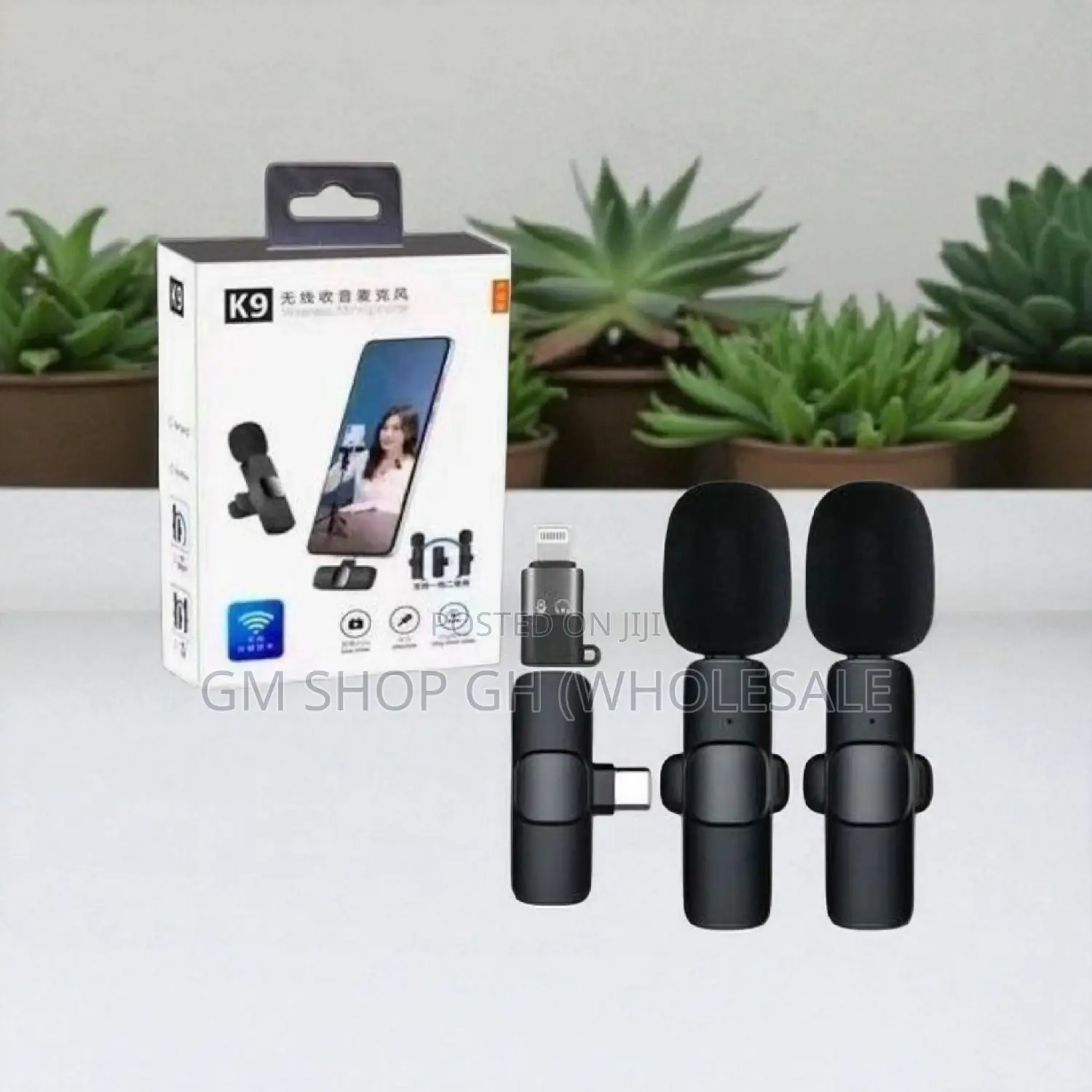 Wireless - 2 in 1 Wireless Microphone (17488)