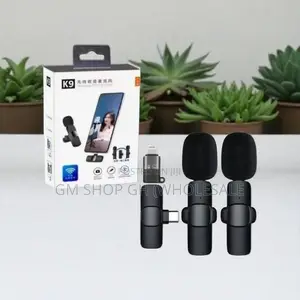 Wireless - 2 in 1 Wireless Microphone (17488)