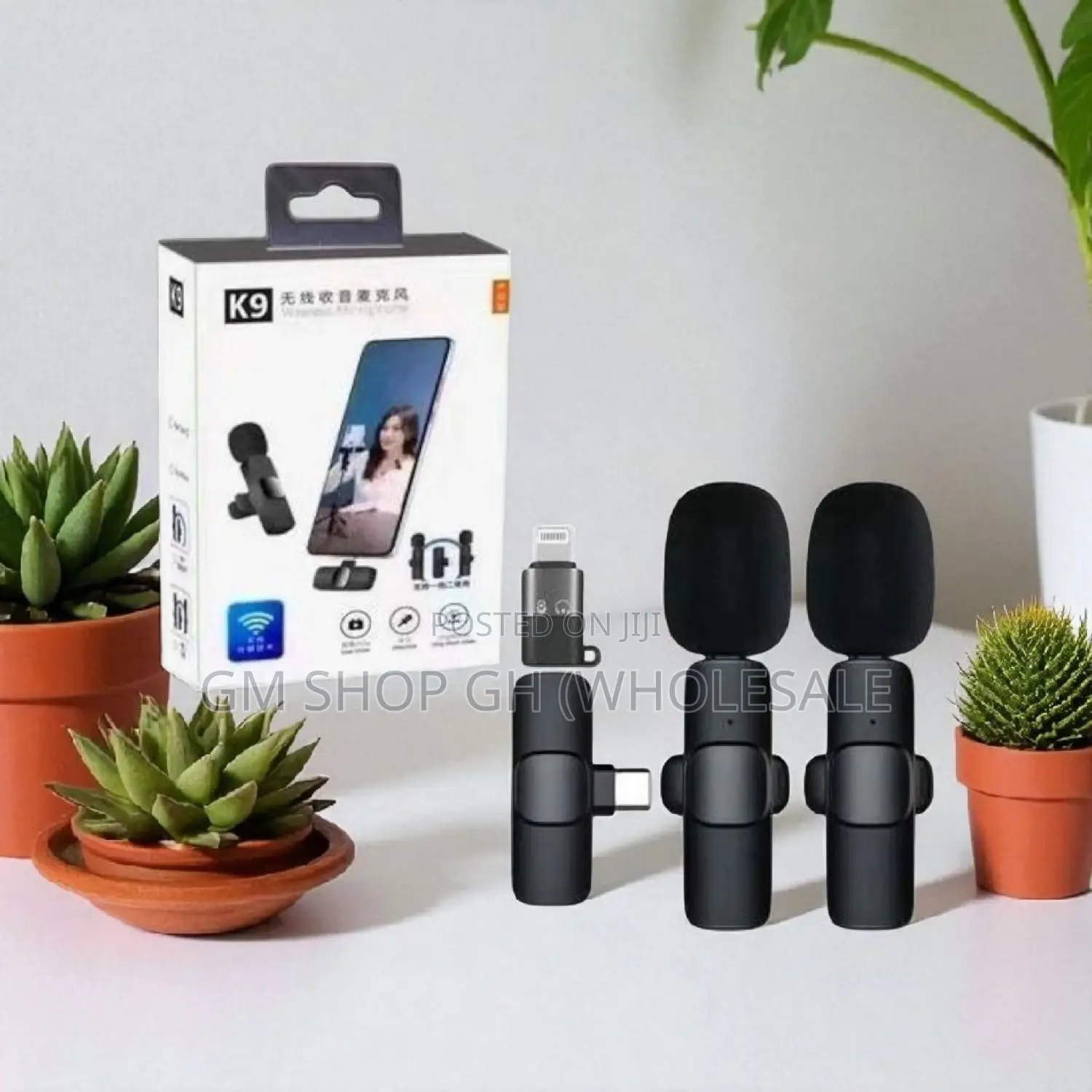Top Performance 2 in 1 Wireless Microphone (379087)