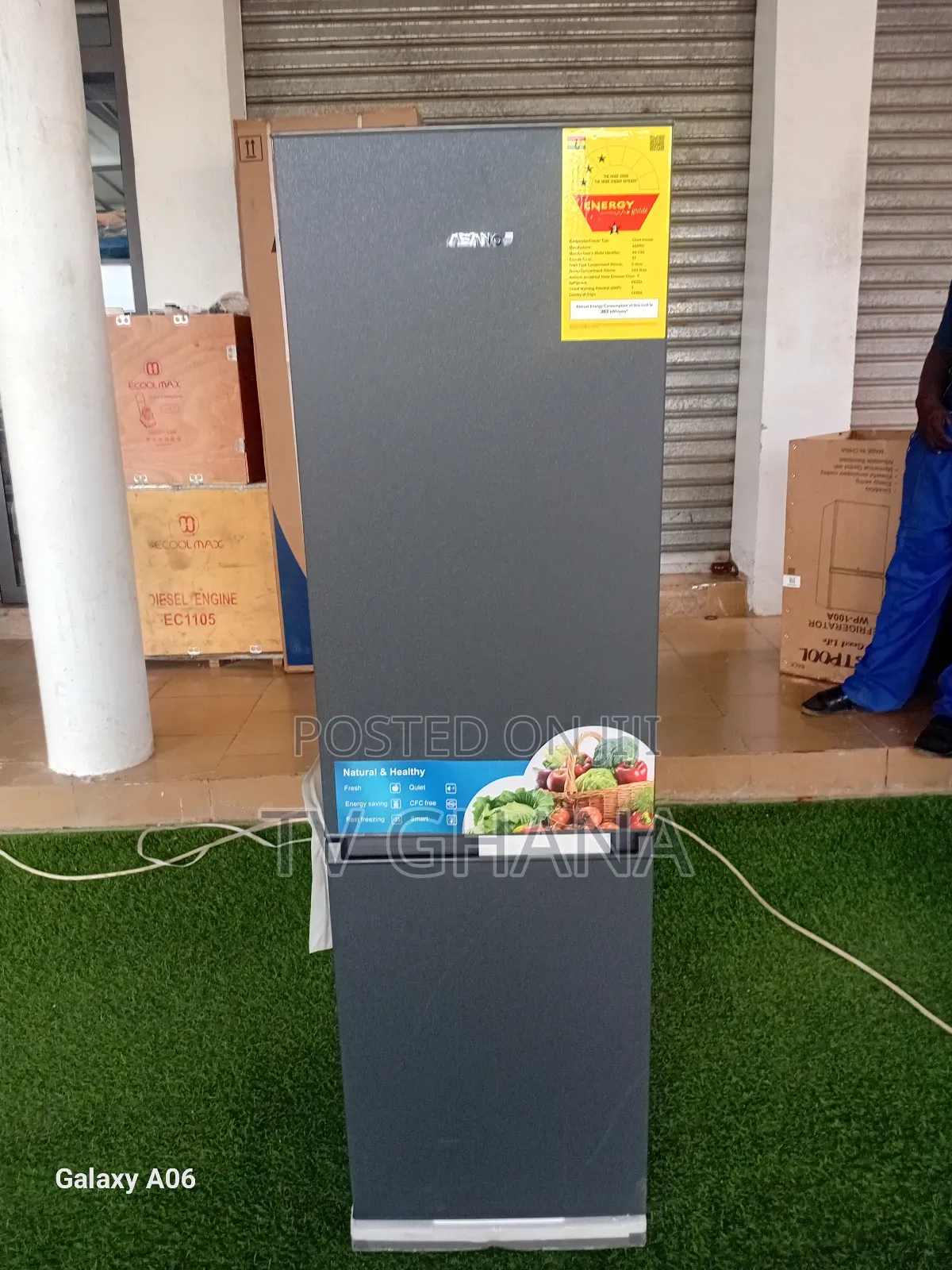 Cryro Chamber Asano Freezer Double Door Asano 244 Liters