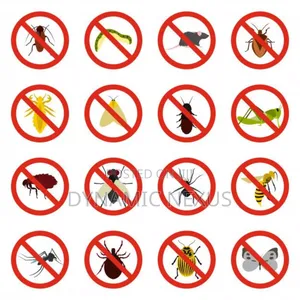Fumigation and Pest Control Services